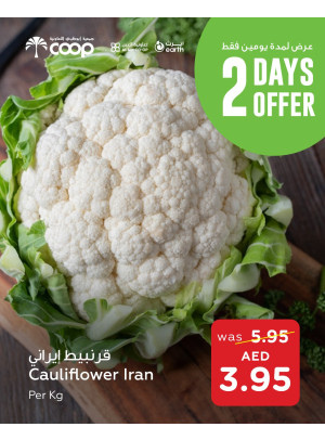 Two Days Offer