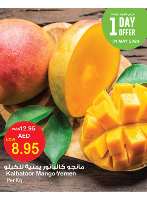 One Day Offer