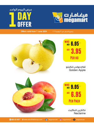 One Day Offer - Megamart