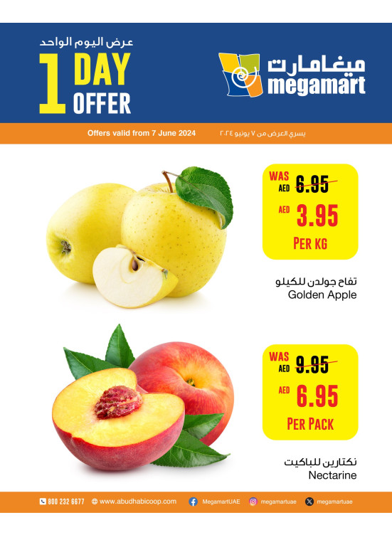 One Day Offer - Megamart