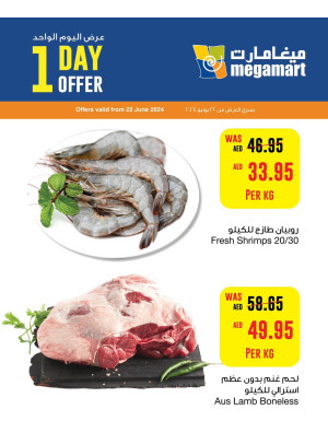 One Day Offer - Megamart