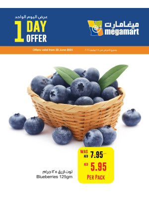 One Day Offer - Megamart
