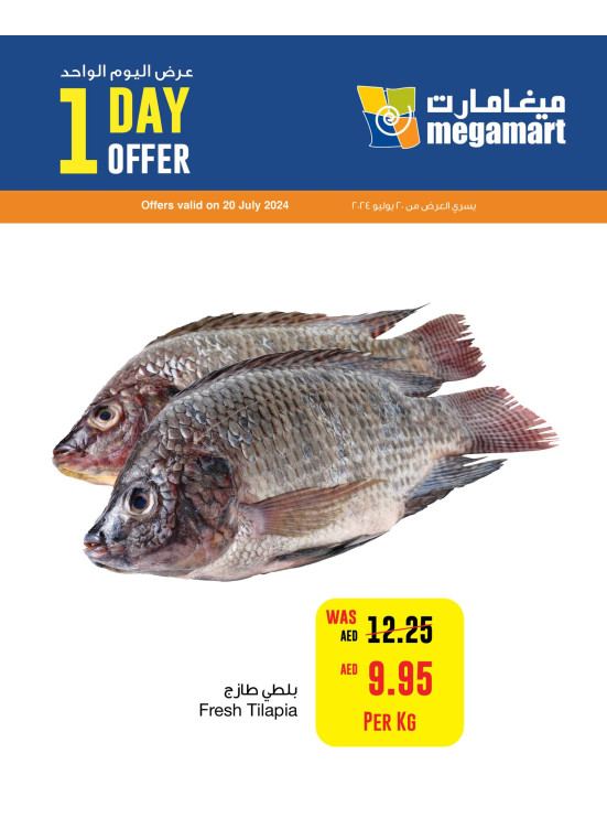 One Day Offer - Megamart