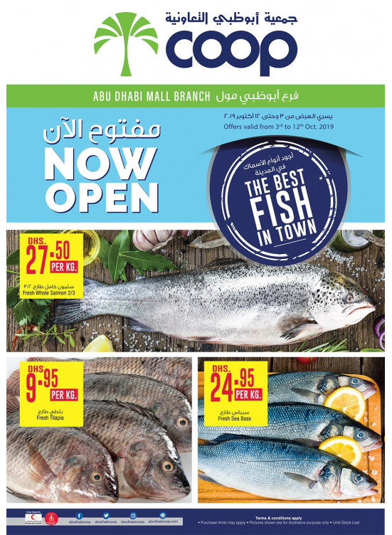 The Best Fish in Town - Abu Dhabi Mall Branch