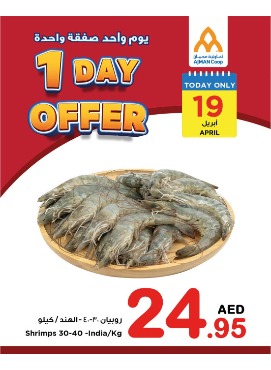 One Day Offers