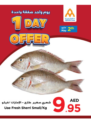 عروض ليوم واحد