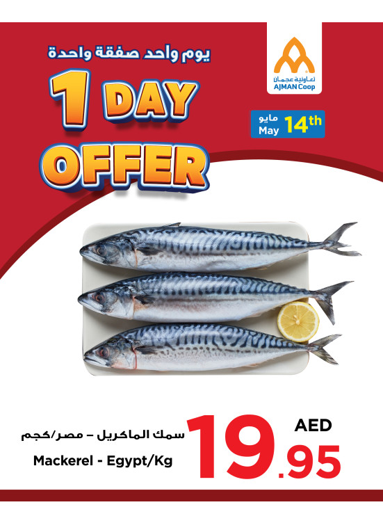 عروض ليوم واحد