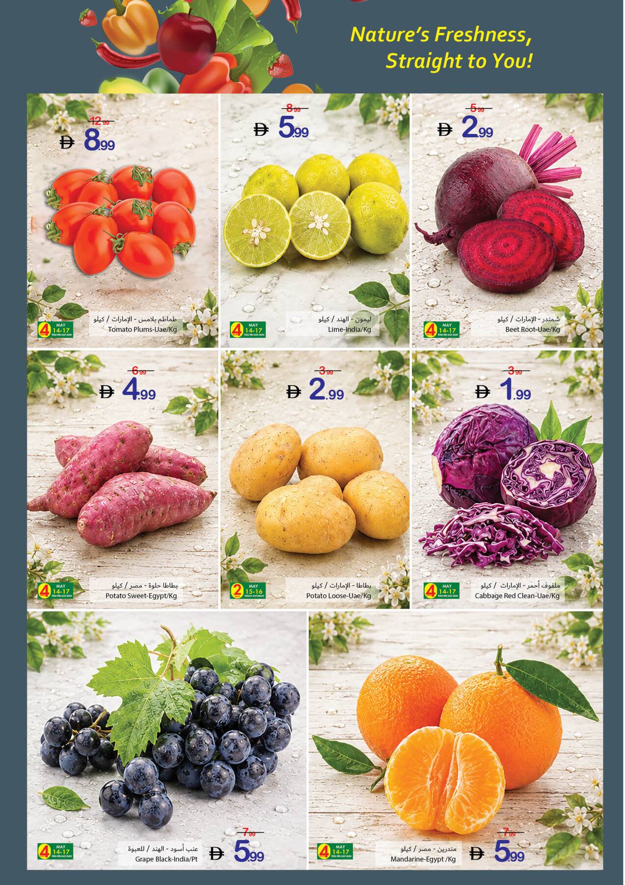 Latest offers from Ajman Coop in UAE