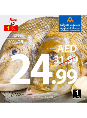 عرض اليوم الواحد المدهش