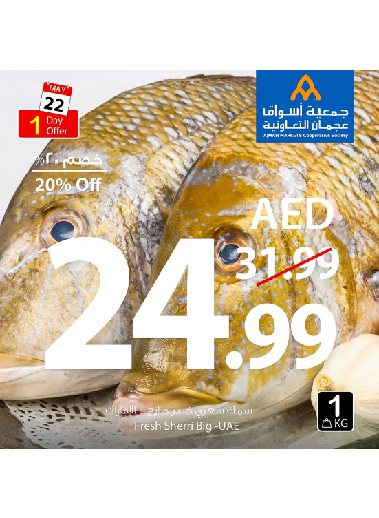 WoW One Day Offer