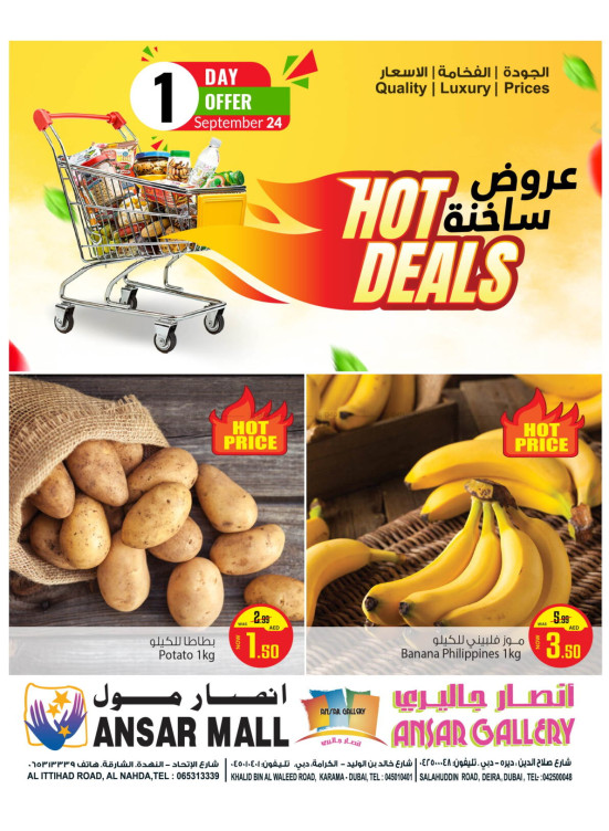 Hot Deals