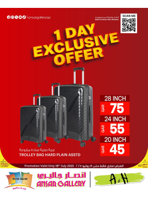 1-Day Exclusive Offer