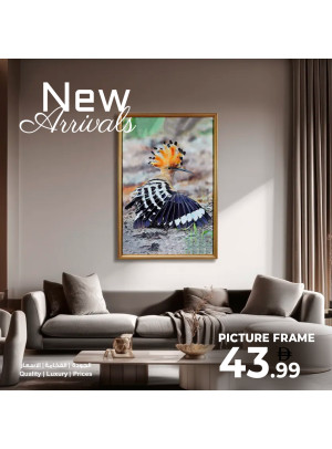 Picture Frames Deals