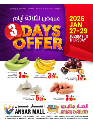 3-Days Offer