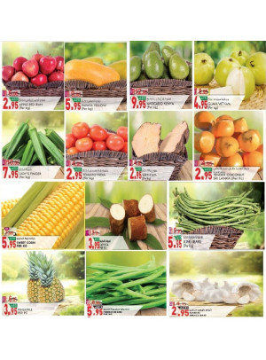 3 Days Offers - Fujairah