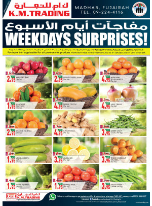 Weekdays Surprises - Fujairah