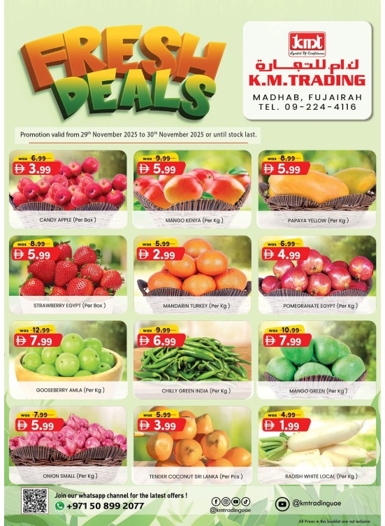 عروض طازجة - الفجيرة