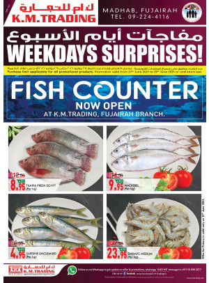 Weekdays Surprises - Fujairah