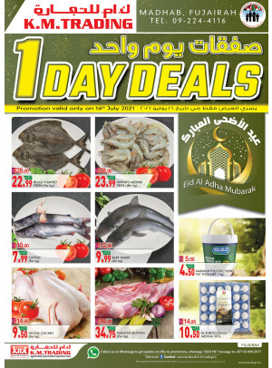 One Day Deals - Fujairah