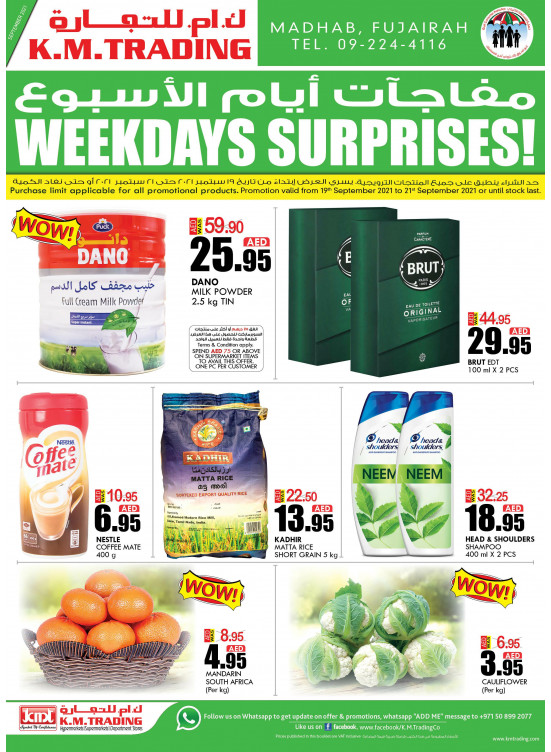 Weekdays Surprises - Fujairah