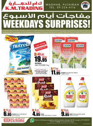 Weekdays Surprises - Fujairah