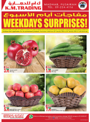 Weekdays Surprises - Fujairah