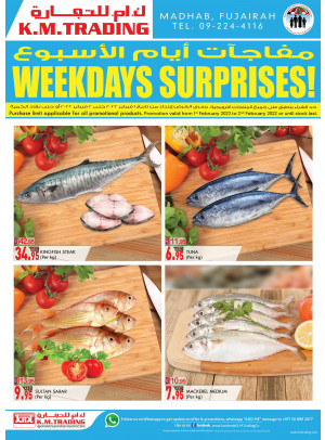 Weekdays Surprises - Fujairah