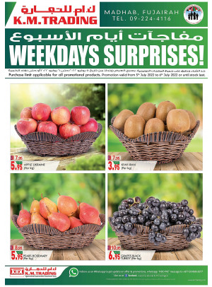 Weekdays Surprises - Fujairah