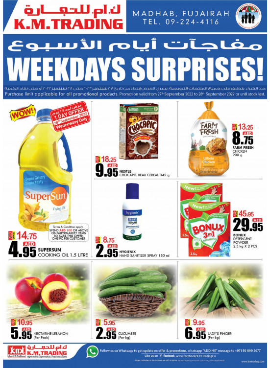 Weekdays Surprises - Fujairah