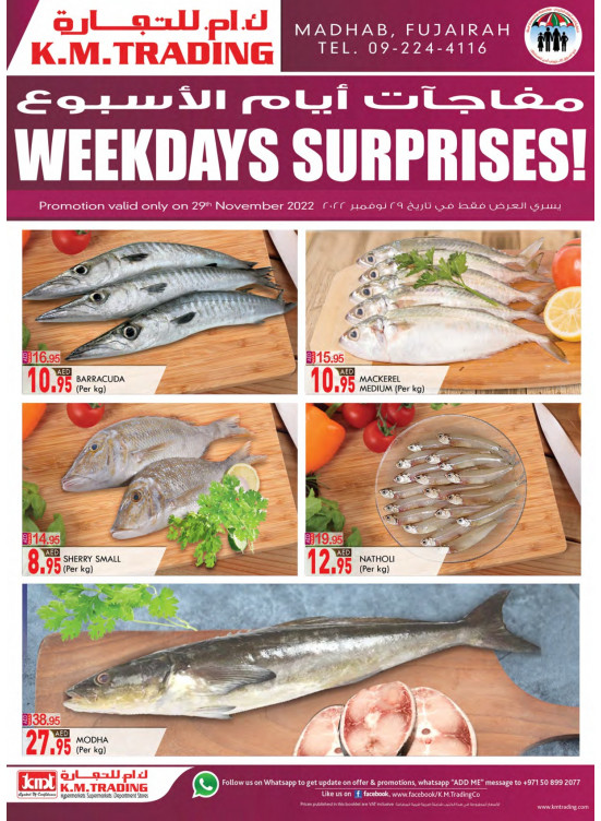 Weekdays Surprises - Fujairah