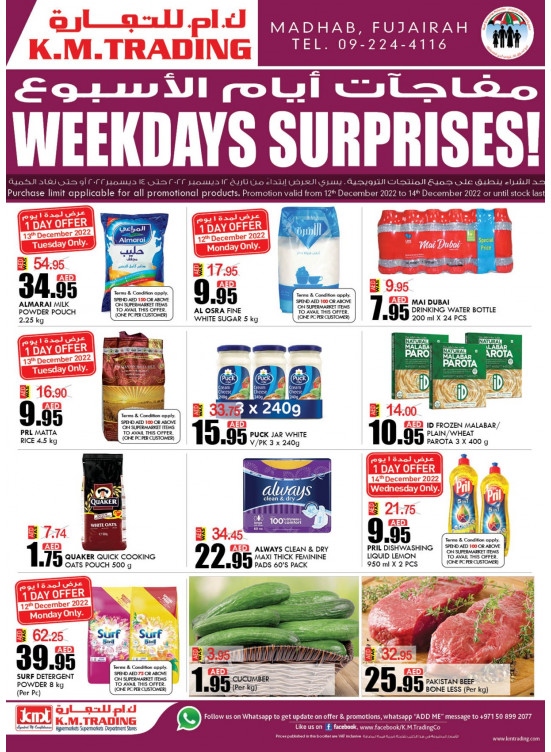 Weekdays Surprises - Fujairah