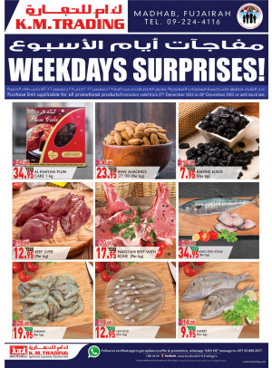 Weekdays Surprises - Fujairah