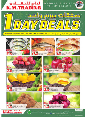 One Day Deals - Fujairah
