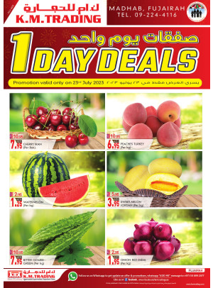 One Day Deals - Fujairah