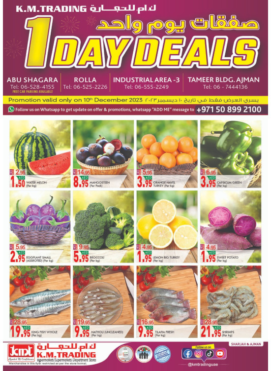 One Day Deals - Sharjah & Ajman