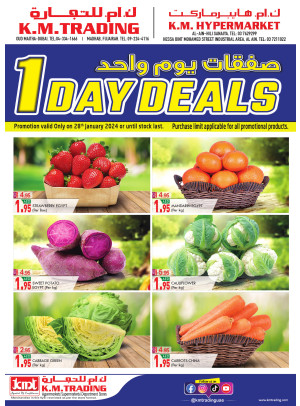 One Day Deals - Dubai, Al Ain & Fujairah
