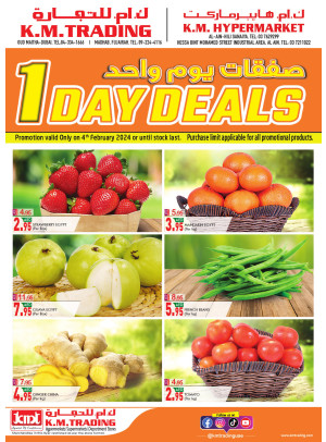 One Day Deals - Dubai, Al Ain & Fujairah
