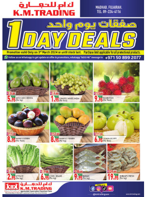 One Day Deals - Fujairah