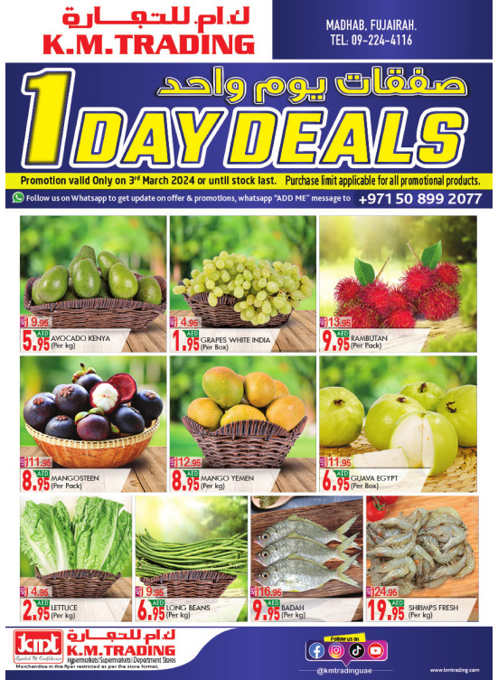 One Day Deals - Fujairah