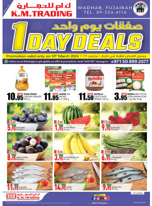 One Day Deals - Fujairah