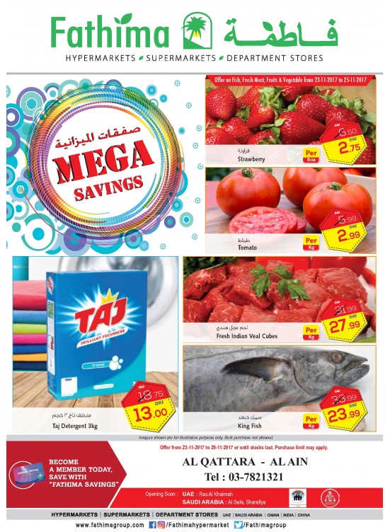 Mega Savings - Al Ain- Al Qattara Branch