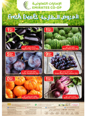 Fresh Deals