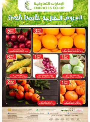 Fresh Deals