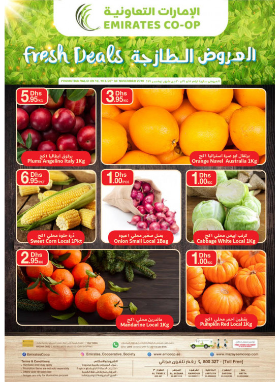 العروض الطازجة
