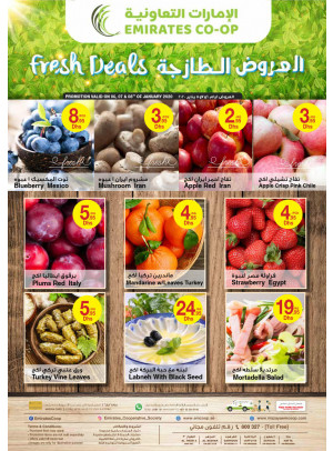 Fresh Deals