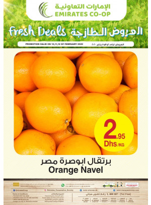 Fresh Deals