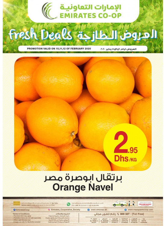 Fresh Deals