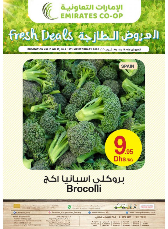 العروض الطازجة