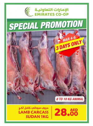 Special Promotion