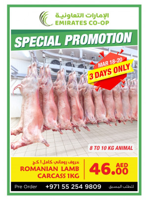 Special Promotion